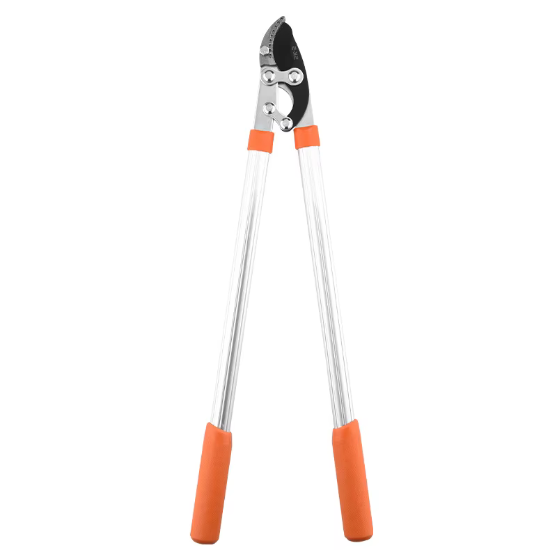 Sécateur de jardin à long manche pour branches épaisses, outil de taille pour arbres fruitiers et fl