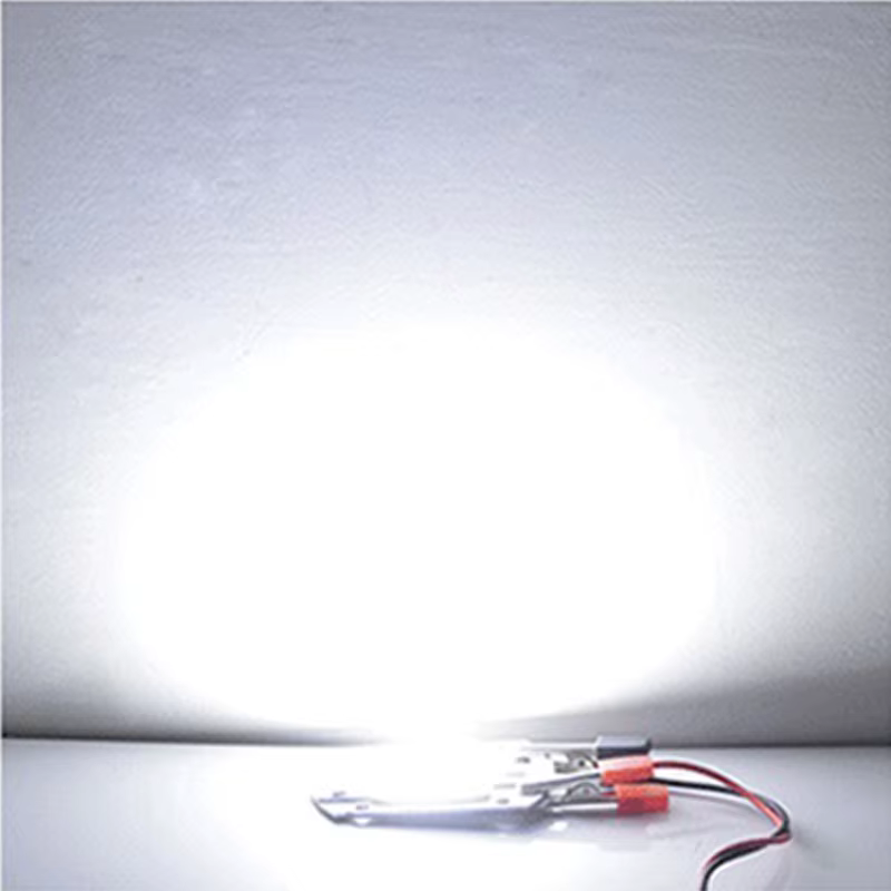 Puce LED COB lampe 10W 20W 30W 50W AC 220V 240V IP65 IC intelligent pas besoin de pilote bricolage p