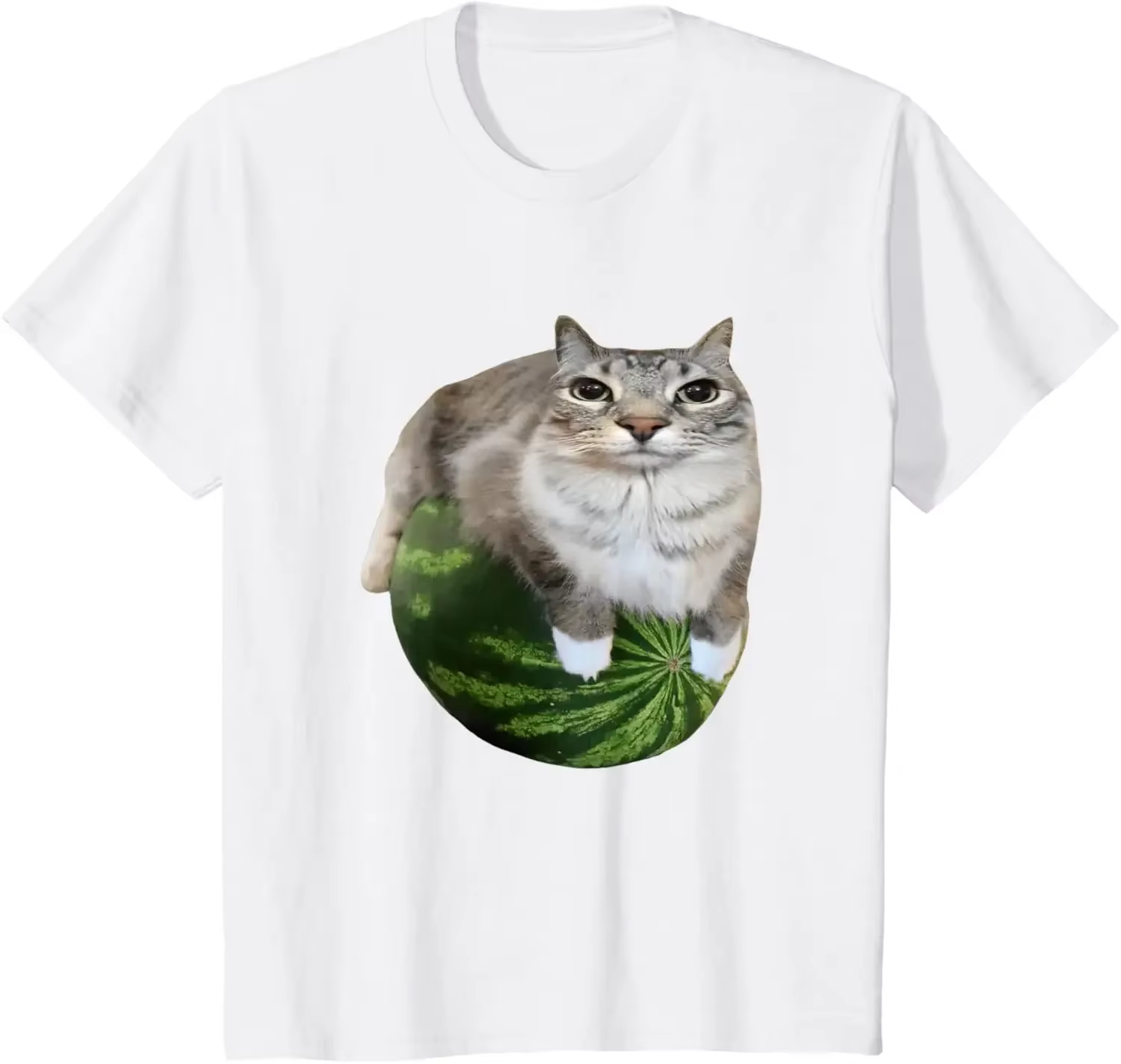 T-shirt pastèque chat idiot Meme, une chemise hilarante imprimée pastèque est un haut unisexe élégan