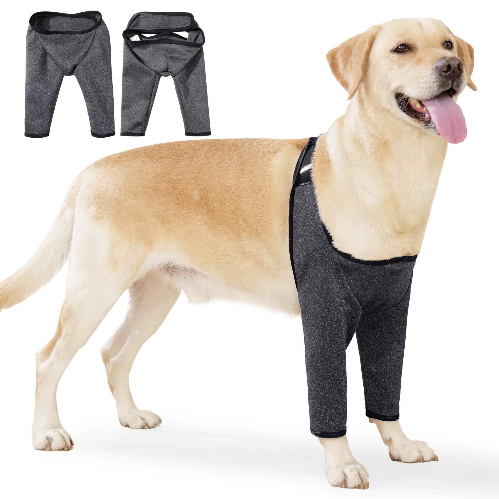Combinaison de récupération pour jambes avant, manchon pour chien après chirurgie, protection du cou