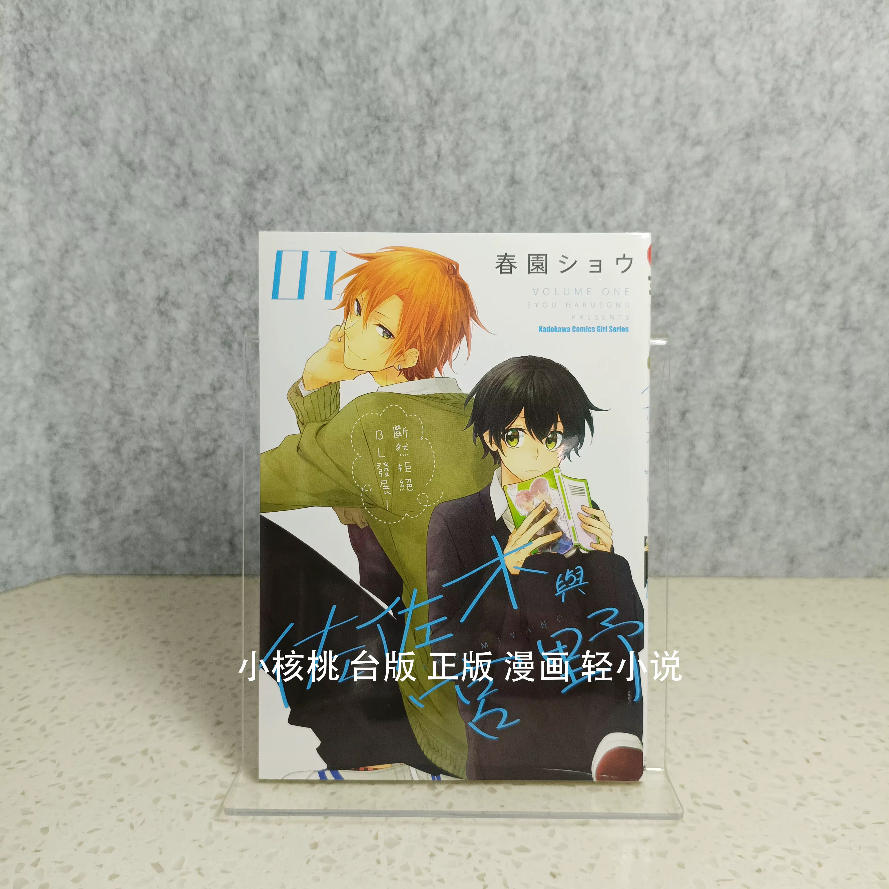 Album d'art de manga et de bandes dessinées de Sasaki et Miyano, volume [numéro]. Collection d'illus