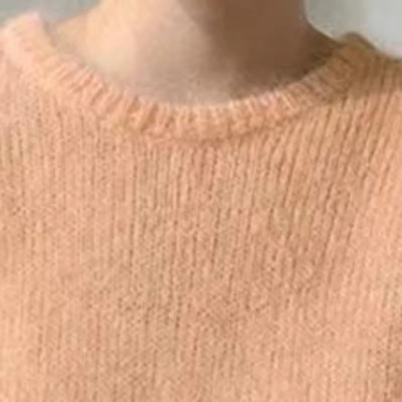 Tricots à manches courtes et col rond pour femmes, pulls décontractés, simple, tout match, paresseux
