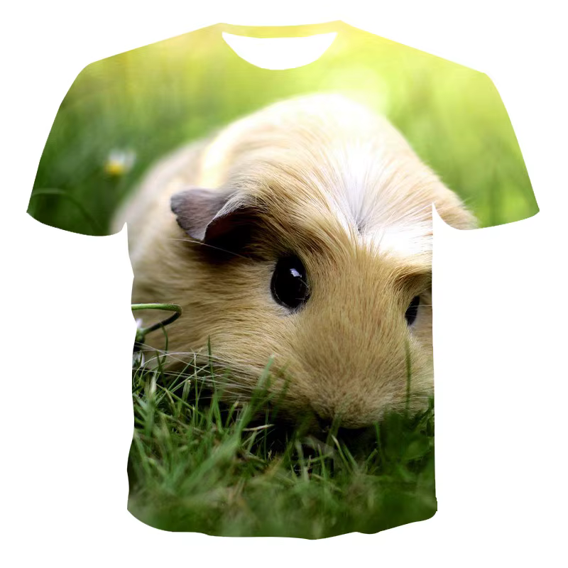 Drôle cochon d'inde T-Shirts Hamster Animal impression 3D Streetwear hommes femmes décontracté mode