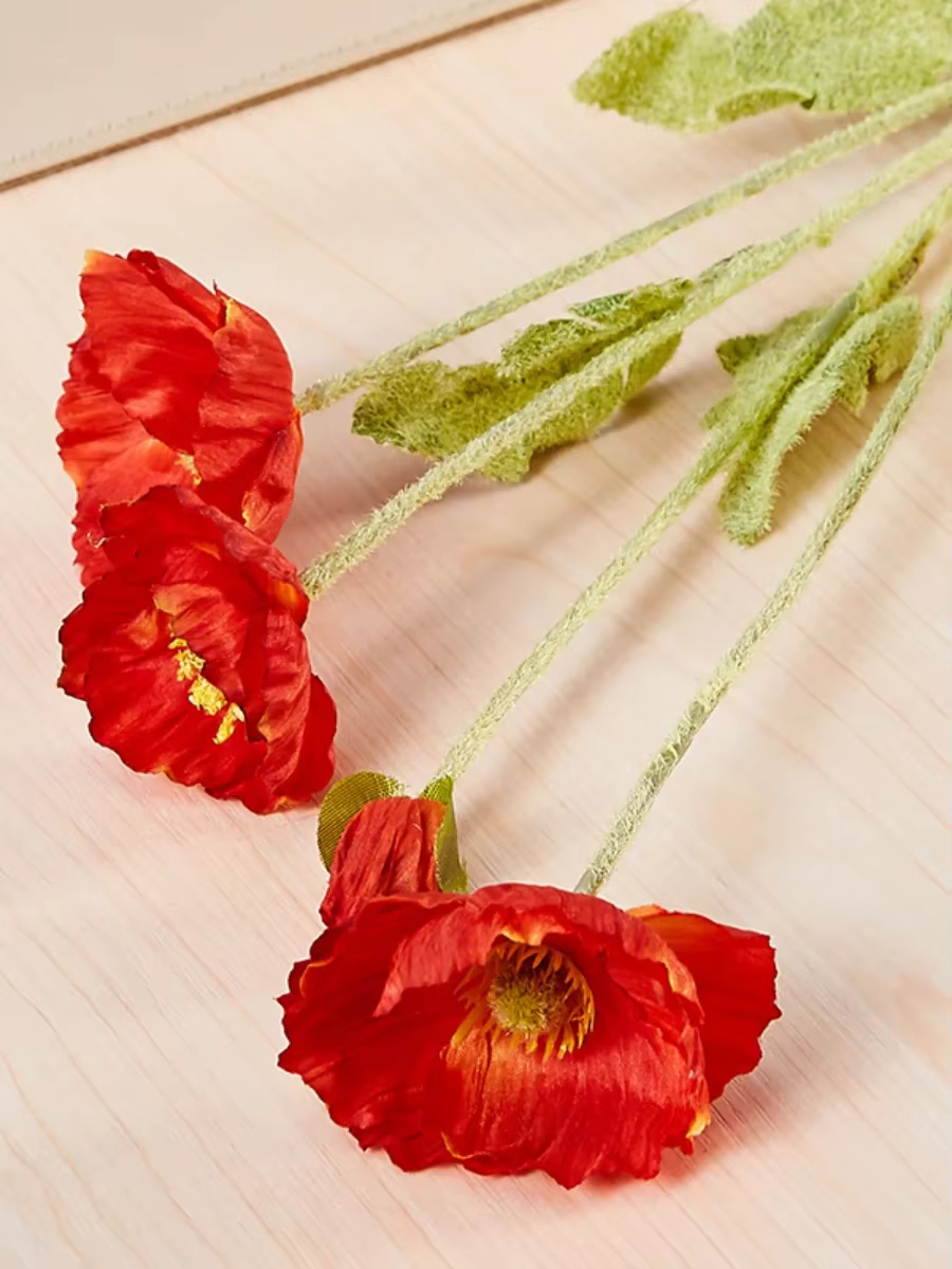 Fleur de pavot Xiaoyu, injFlower de pavot