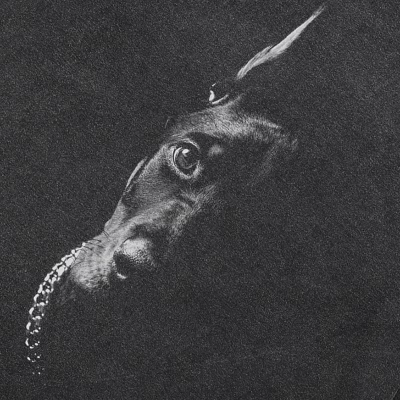 2025 hommes Hip Hop Streetwear surdimensionné T-Shirt Doberman chien graphique