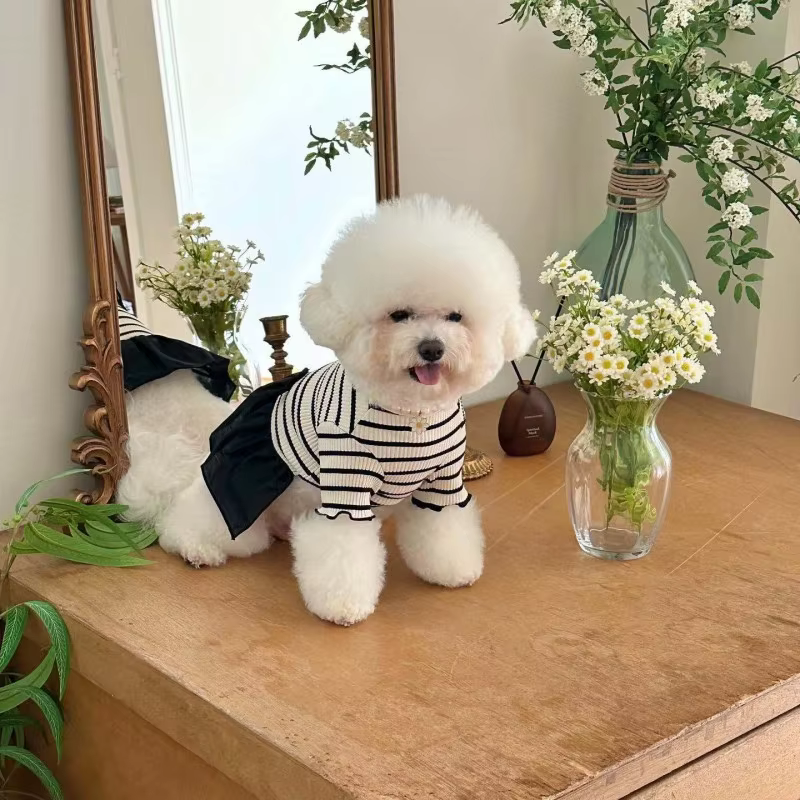 Gilet rayé pour chien, robe pour chien