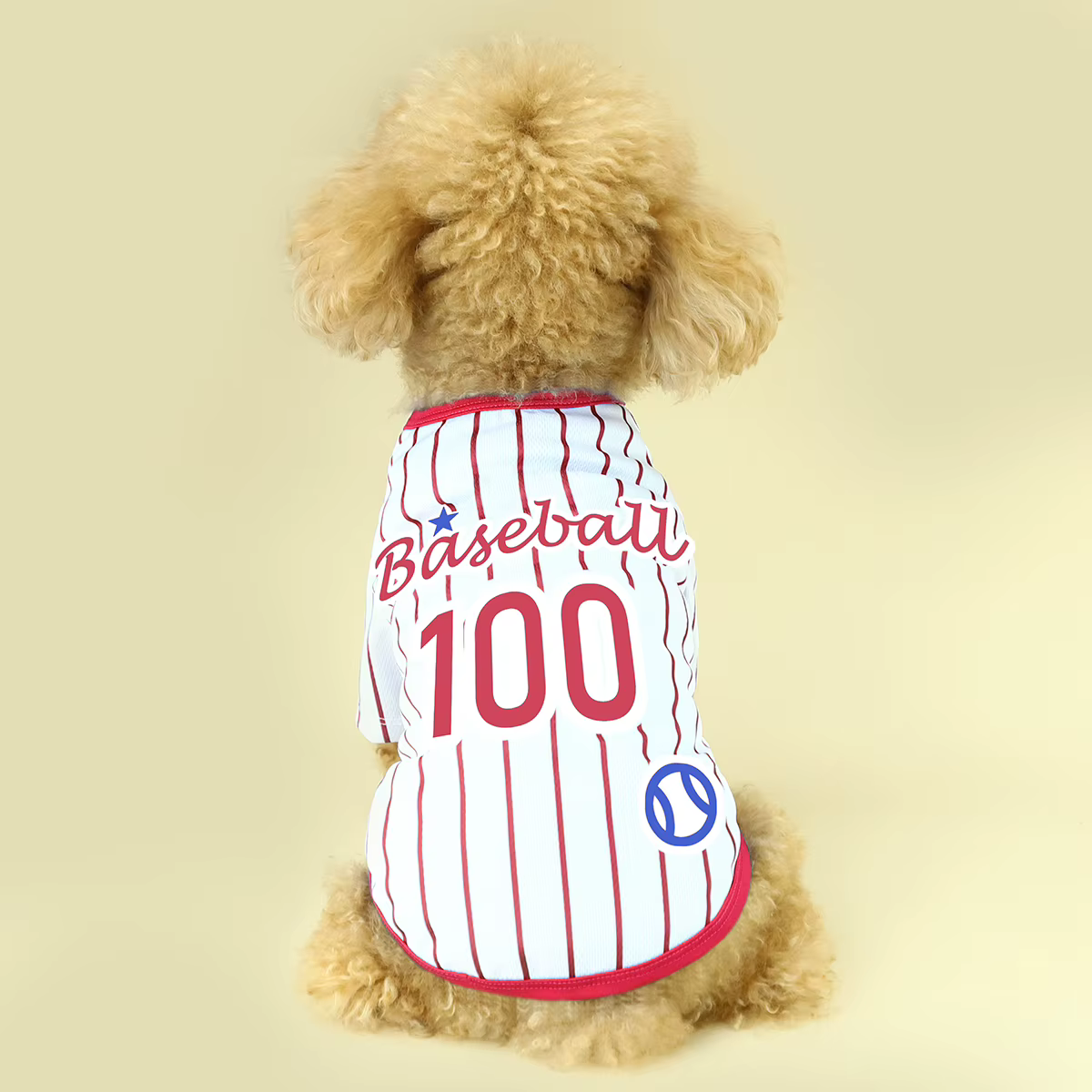 Présentation de notre T-shirt athlétique pour chien rayé