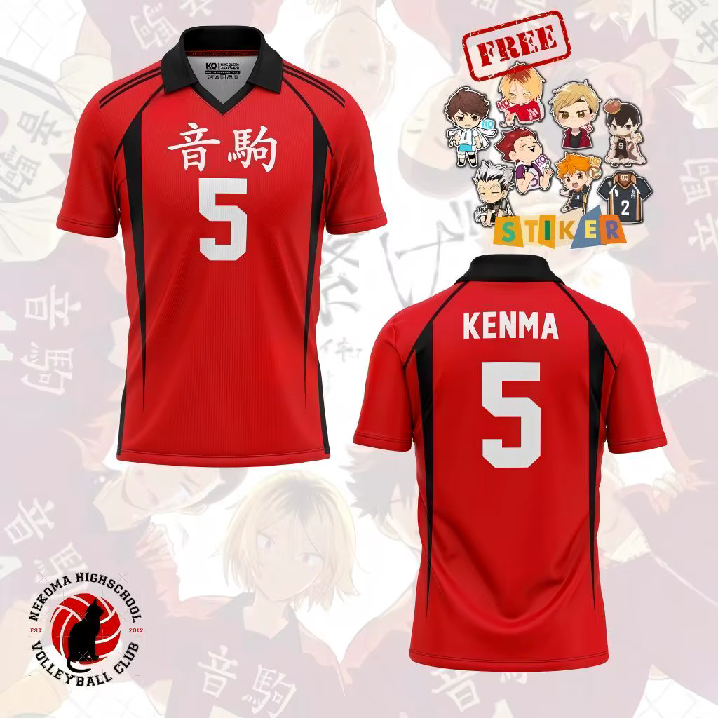 Maillot de volley-ball personnalisé Haikyuu Karasuno High Hinata 10 pour hommes et femmes