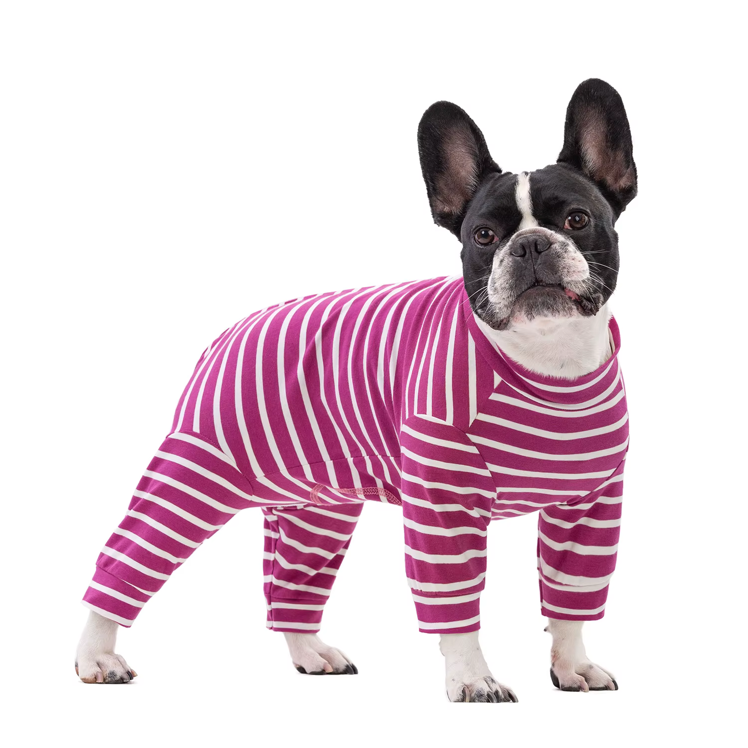 Pyjama pour petits chiens