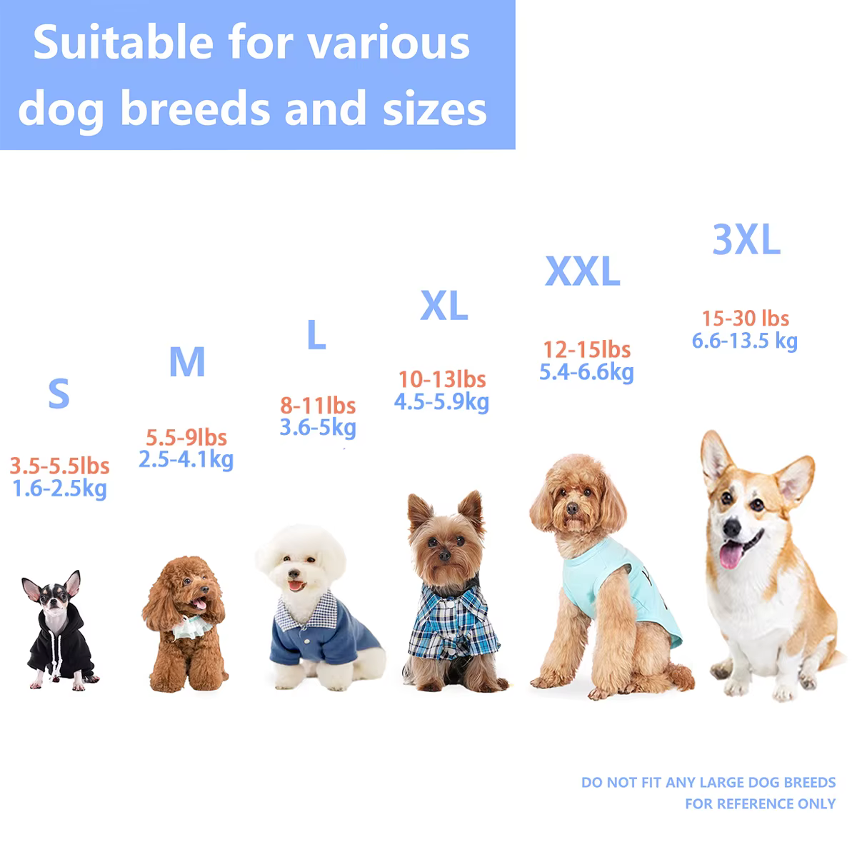Présentation de notre T-shirt athlétique pour chien rayé