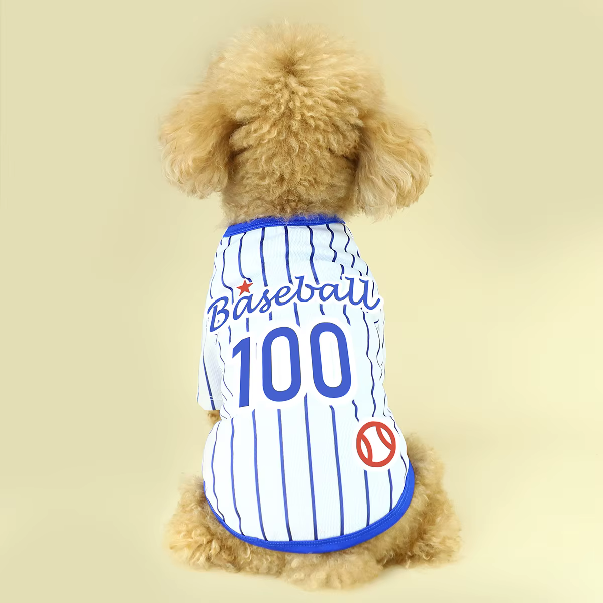 Présentation de notre T-shirt athlétique pour chien rayé