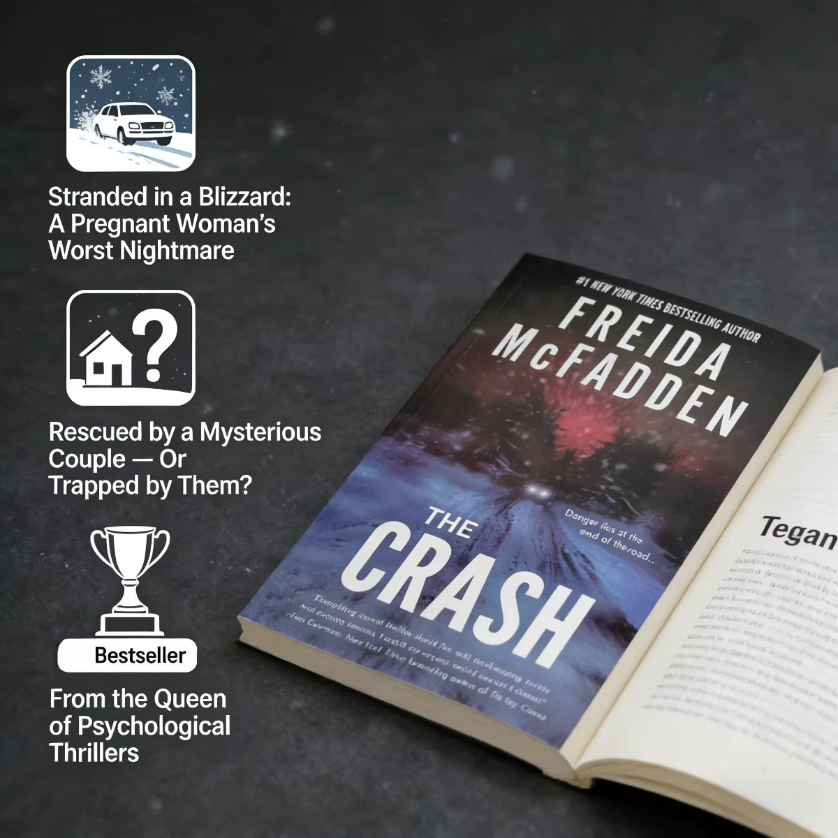 The Crash de Freida McFadden : un thriller psychologique