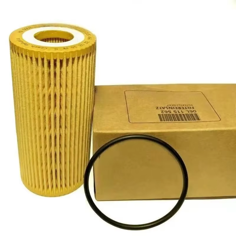 Filtre à huile 06L115466 06L115562 2.0 et 1.8, pour Audi A3 A4 A5 A7 A8 Q5 VW GOLF PASSAT POLO Beetle Jetta Tiguan, 10 pièces